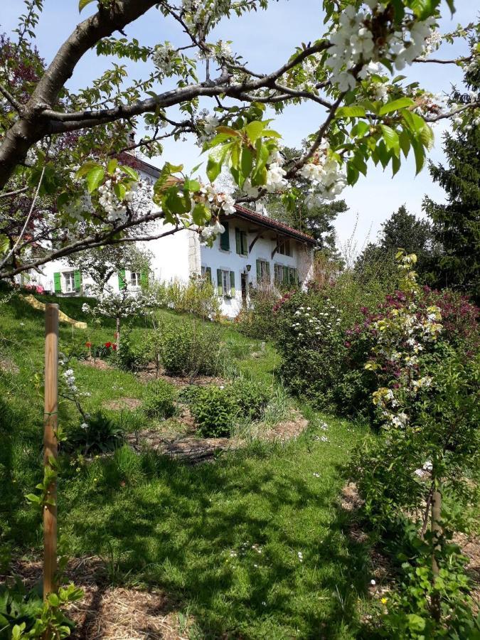 Bed and Breakfast Chez Cathy Arzier Exterior foto